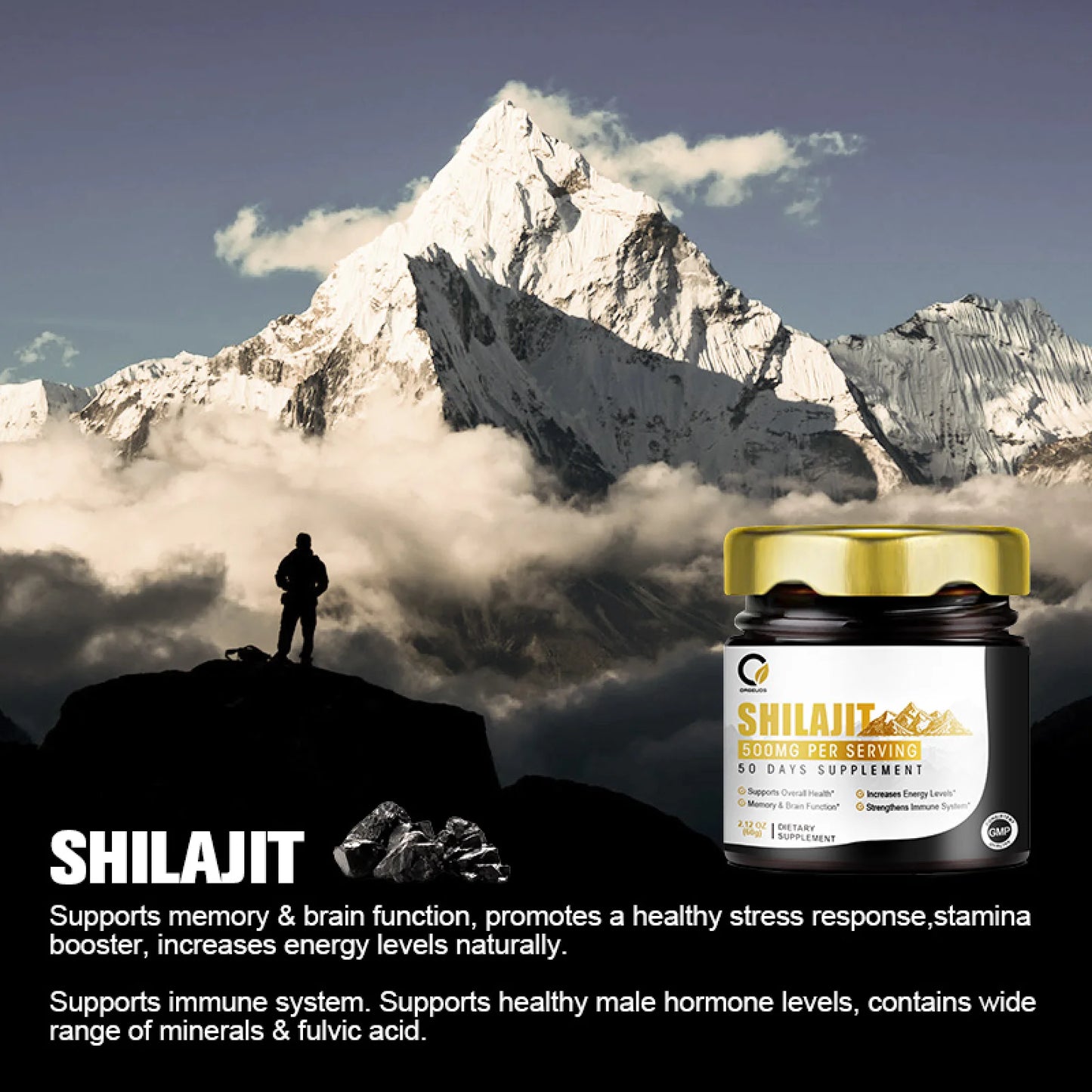 Himalayan Shilajit Resin Supplements 500Mg,Support Immune & Energy for Men and Women,2.1 Oz