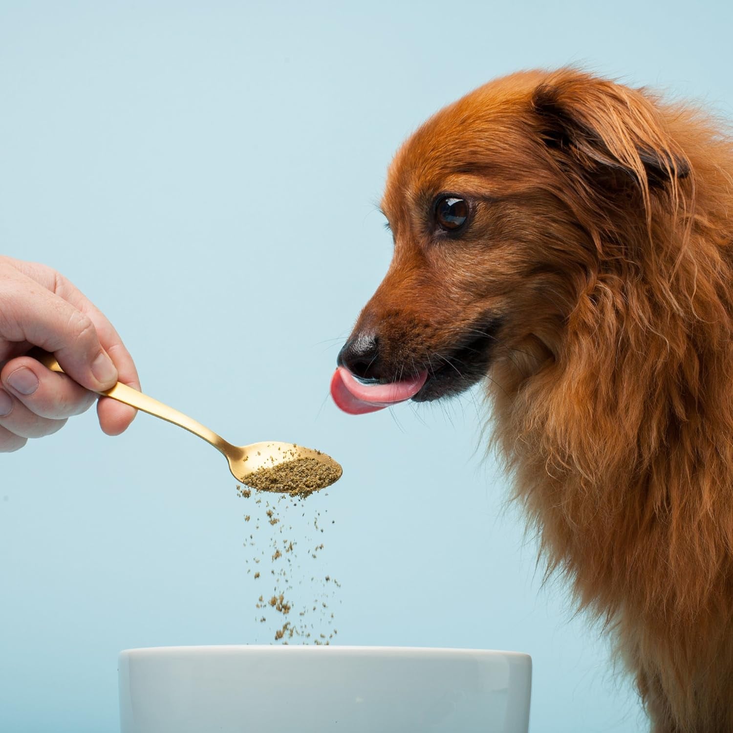 Pets Vitamin and Supplements