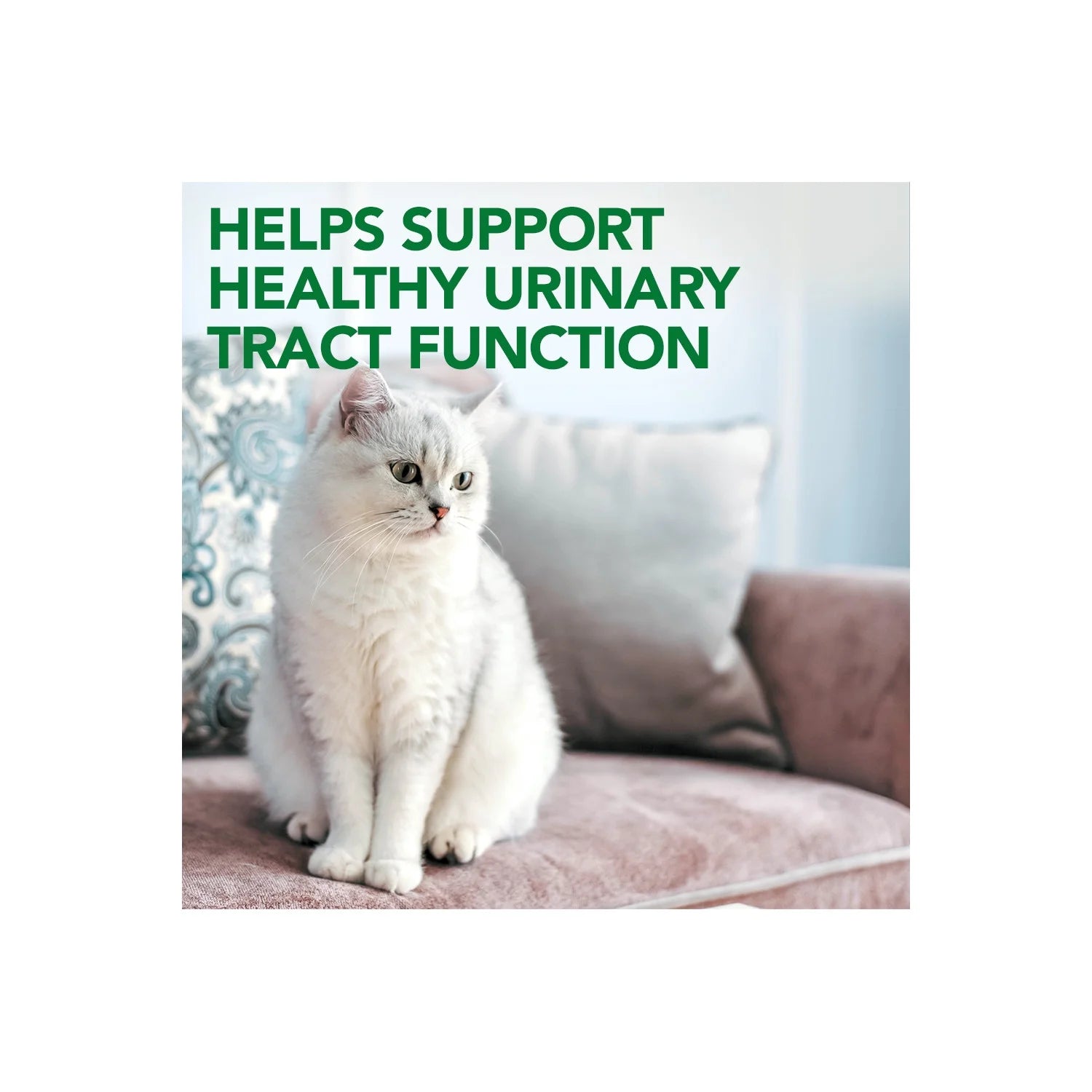 Urinary Tract Support Supplements for Cats - 60 Chewable Tablets