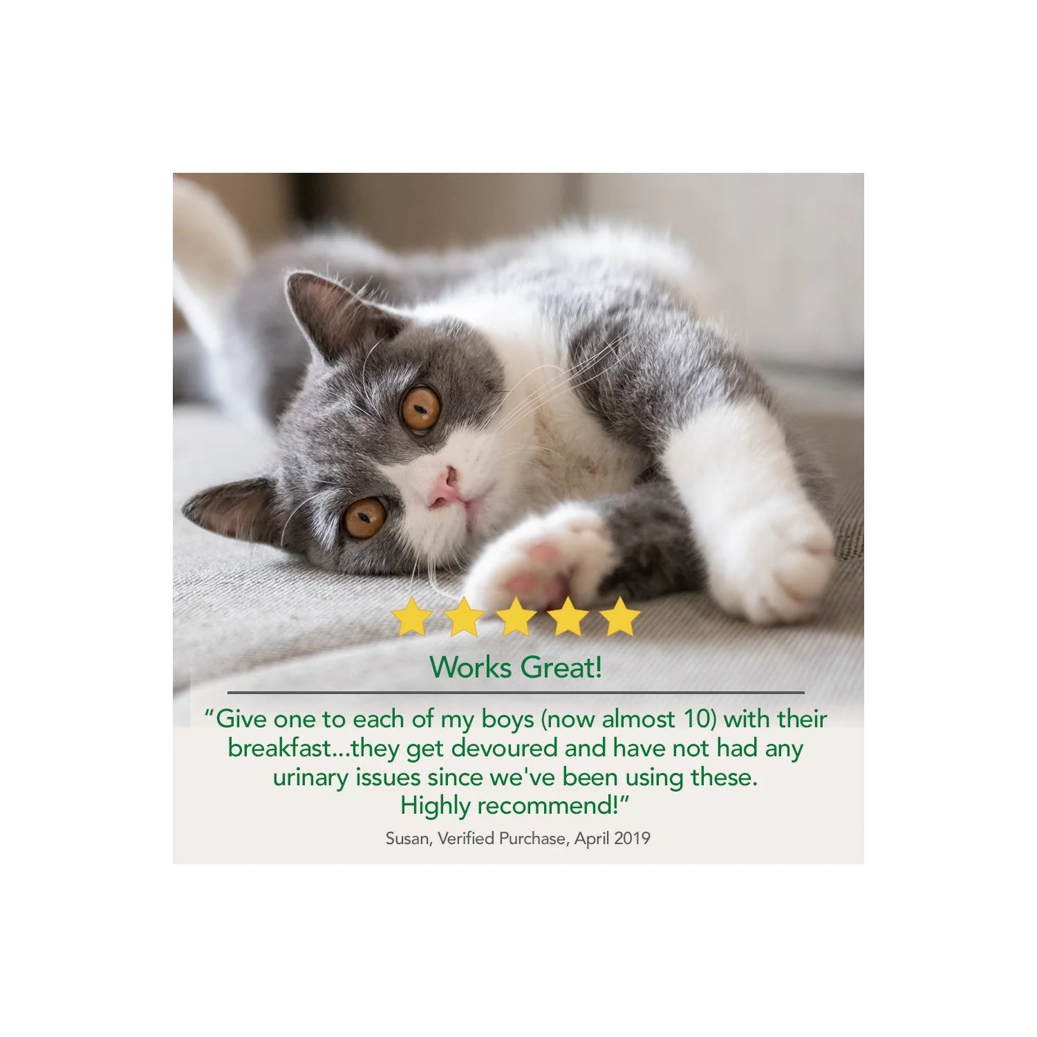 Urinary Tract Support Supplements for Cats - 60 Chewable Tablets