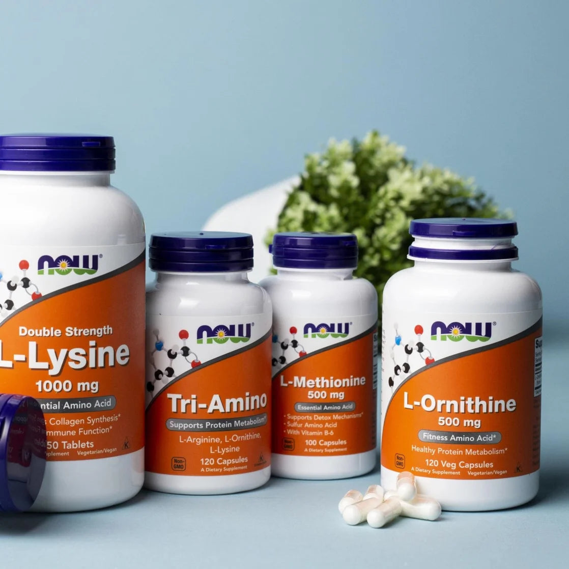 Supplements, L-Ornithine (L-Ornithine Hydrochloride) 500 Mg, Amino Acid, 120 Veg Capsules