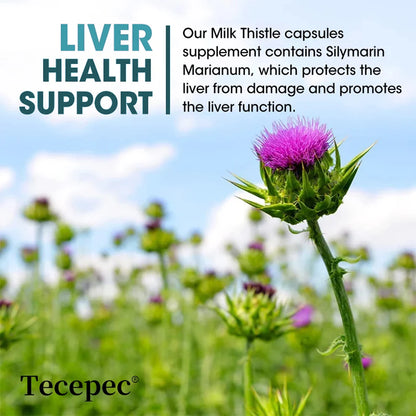 Liver Health Supplements, Artichoke Extract, Promotes Liver Cleansing and Detoxification, Balanced Digestion and Immune Health